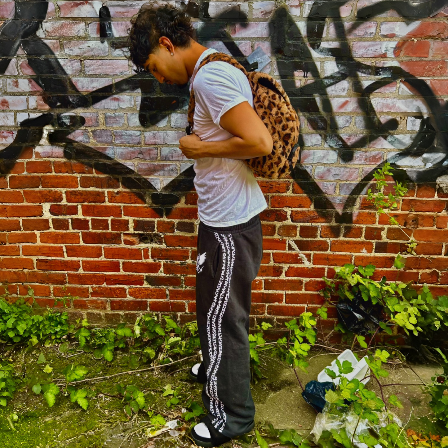 Cheetah Print Sweats